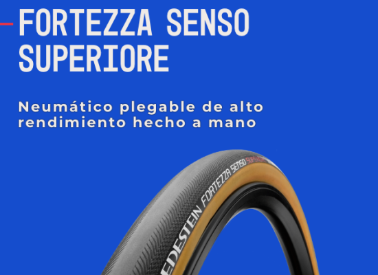 fe04e22da21cabce6983bd79be5be370.png